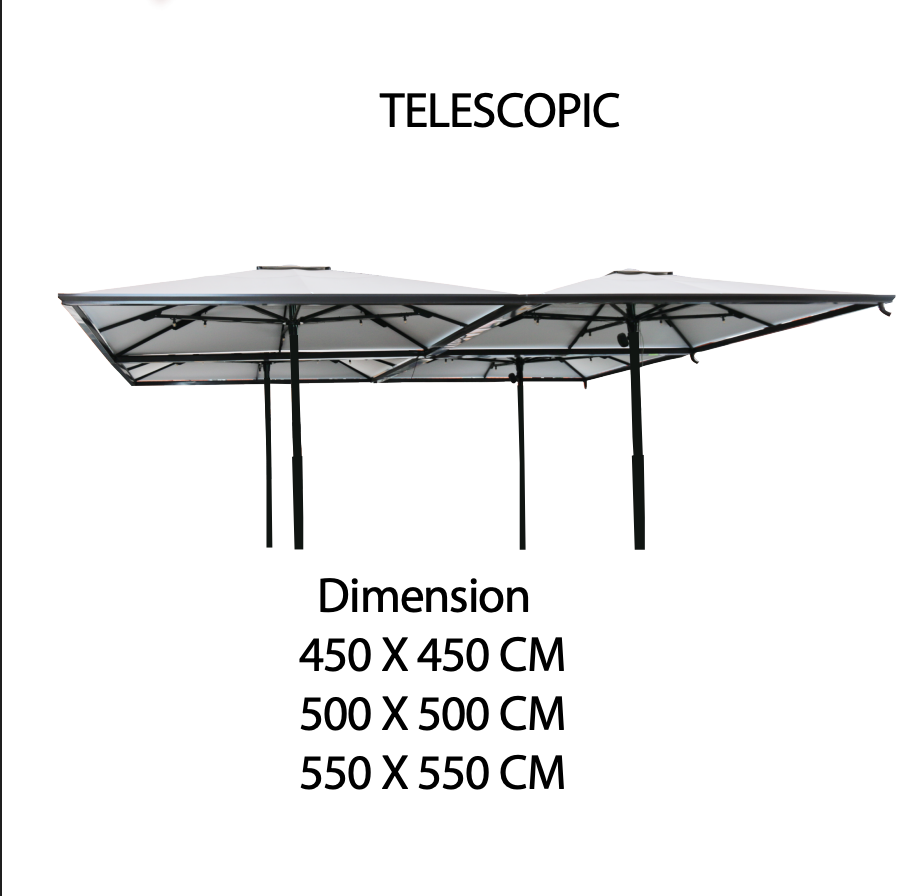TELESCOPIC 4 in 1