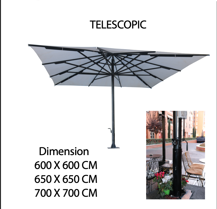 TELESCOPIC